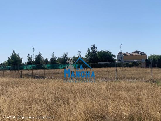 REF: C380 INMOBILIARIA LA MANCHA VENDE TERRENO RUSTICO EN CASAS VIEJAS - ALBACETE