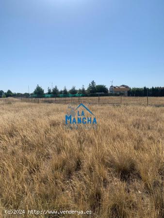 REF: C380 INMOBILIARIA LA MANCHA VENDE TERRENO RUSTICO EN CASAS VIEJAS - ALBACETE