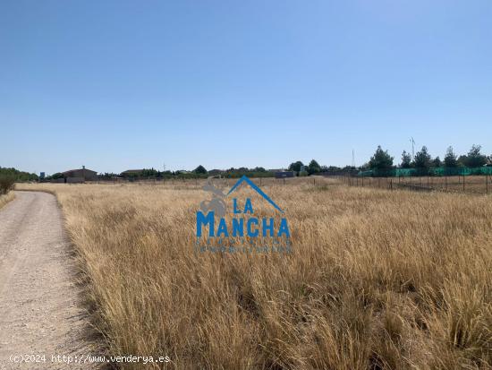 REF: C380 INMOBILIARIA LA MANCHA VENDE TERRENO RUSTICO EN CASAS VIEJAS - ALBACETE