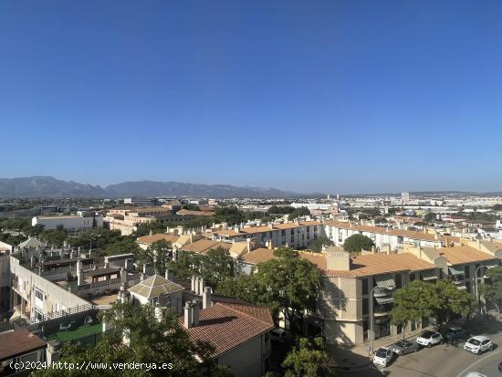 Piso en edificio con ascensor en Palma - BALEARES