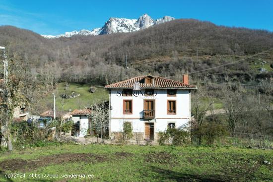 ¡¡FANTÁSTICA CASA DE PIEDRA CON PARCELA A LOS PIES DE LOS PICOS DE EUROPA!! (No olvide ver el ví