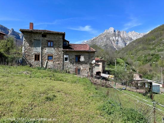 ¡¡FANTÁSTICA CASA DE PIEDRA CON PARCELA A LOS PIES DE LOS PICOS DE EUROPA!! (No olvide ver el ví