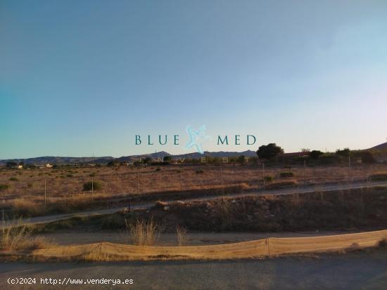 TERRENO RÚSTICO EN LA ZONA DE CARTAGENA - MURCIA