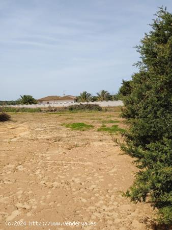  GRAN OPORTUNIDAD - CADIZ 