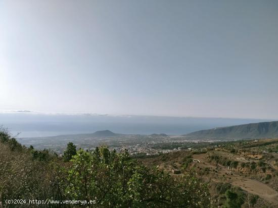 FINCA RUSTICA EN SIETE LOMAS (ARAFO) - SANTA CRUZ DE TENERIFE