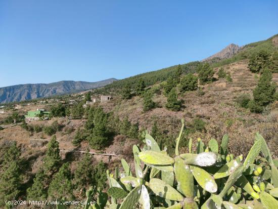 FINCA RUSTICA EN SIETE LOMAS (ARAFO) - SANTA CRUZ DE TENERIFE