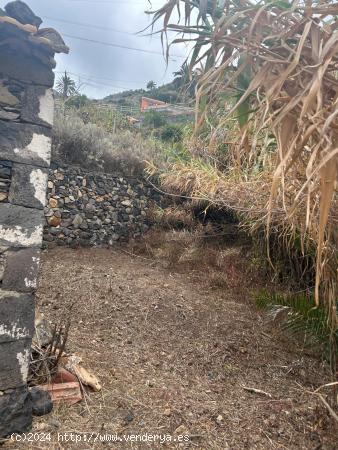 Terreno de asentamiento rural con casa a reformar - SANTA CRUZ DE TENERIFE