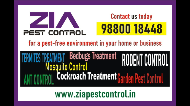 Zia Pest control | Cockroach service just Rs. 799/- only | Bangalore | 1978