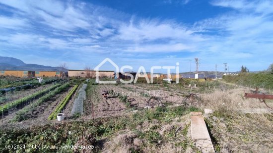 Granja con terreno de unos 20.000 m² y posibilidad de concesión de 200 ha de pastos. Zona Donadio.