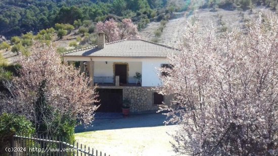 SE VENDE GRAN PARCELA CON OLIVOS, PISCINA Y CHALET