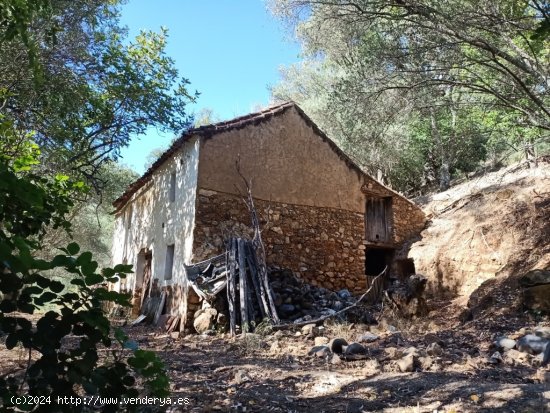 Casa de campo-Masía en Venta en Benarraba Málaga