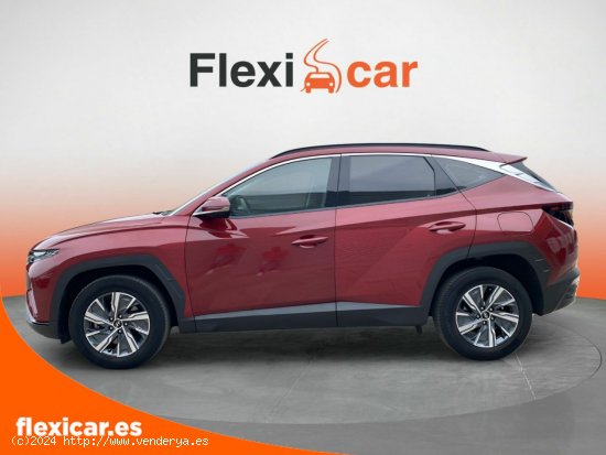 Hyundai Tucson 1.6 TGDI 132kW (180CV) 48V Style DCT 4x2 - 5 P (2022) - Xátiva