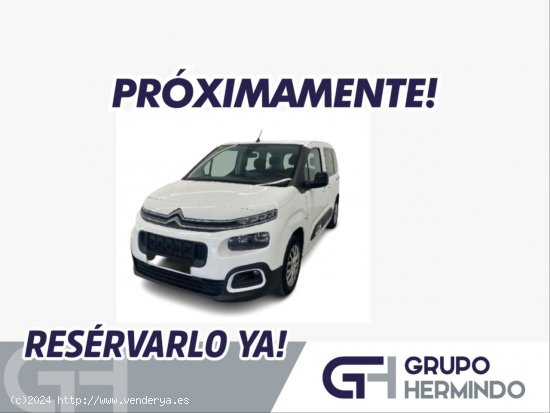  Citroën Berlingo TALLA M FEEL BLUE HDI 100 CV - Ponteareas 