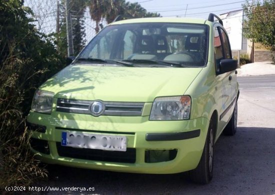  FIAT Panda en venta en Torres de Cotillas (Murcia) - Torres de Cotillas 