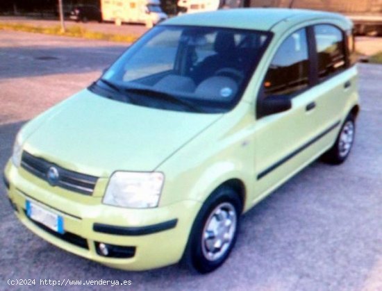 FIAT Panda en venta en Torres de Cotillas (Murcia) - Torres de Cotillas