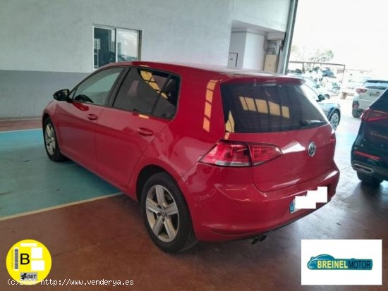 VOLKSWAGEN Golf en venta en Madrid (Madrid) - Madrid