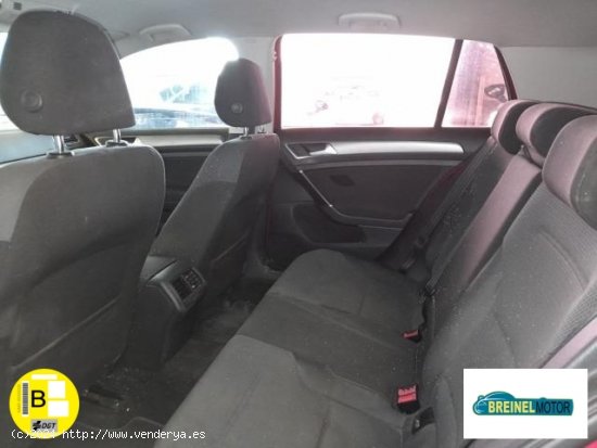 VOLKSWAGEN Golf en venta en Madrid (Madrid) - Madrid