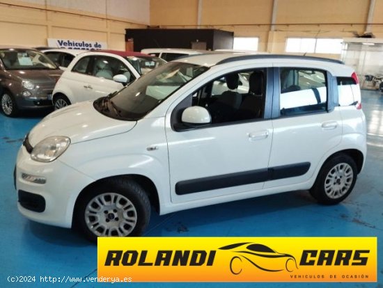 FIAT Panda en venta en Palma de Mallorca (Islas Baleares) - Palma de Mallorca