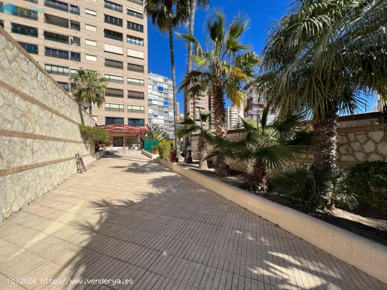 Piso en primera linea playa Benidorm (cl) - ALICANTE