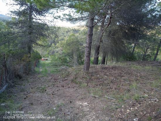 Terreno plano en urbanizacion - TARRAGONA