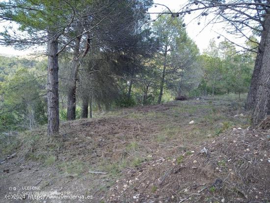 Terreno plano en urbanizacion - TARRAGONA