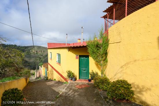 Amplia casa de campo con 3 apartamentos independientes y terreno, - LAS PALMAS