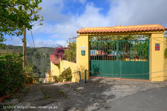 Amplia casa de campo con 3 apartamentos independientes y terreno, - LAS PALMAS