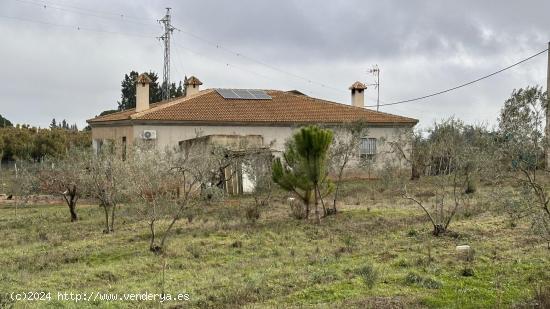 FINCA RÚSTICA EN LA PALMA DEL CONDADO DE 10.000 M2 CON CASA DE 200 M2 - HUELVA