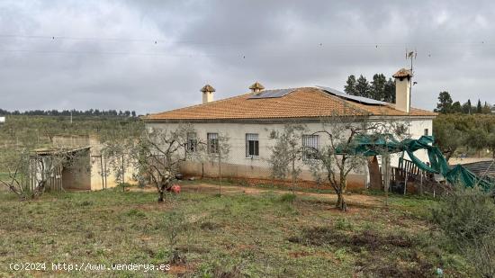 FINCA RÚSTICA EN LA PALMA DEL CONDADO DE 10.000 M2 CON CASA DE 200 M2 - HUELVA