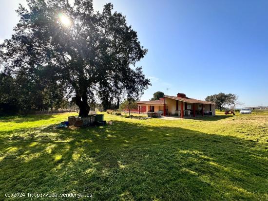 CHALET EN EL MANANTIO - BADAJOZ