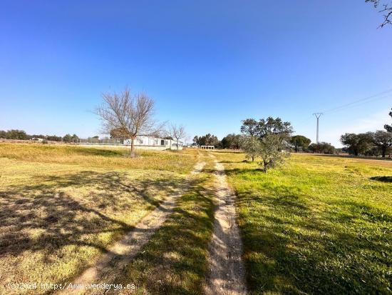 PARCELA EN EL MANANTIO - BADAJOZ