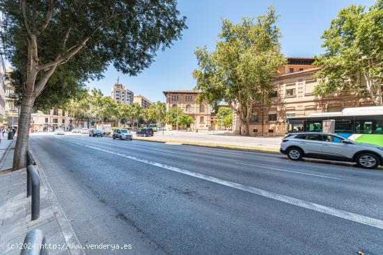 Oficina en Avenida Alemania - BALEARES