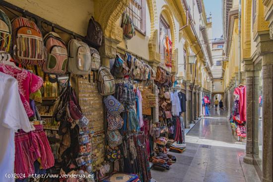 CASA EN EL CENTRO DE GRANADA - GRANADA