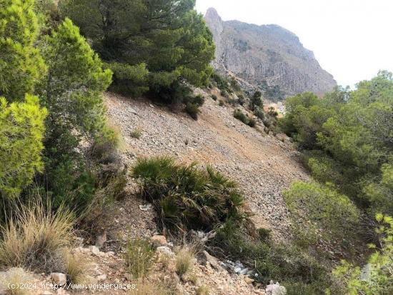 TERRENO URBANO EN ALTEA - ALICANTE