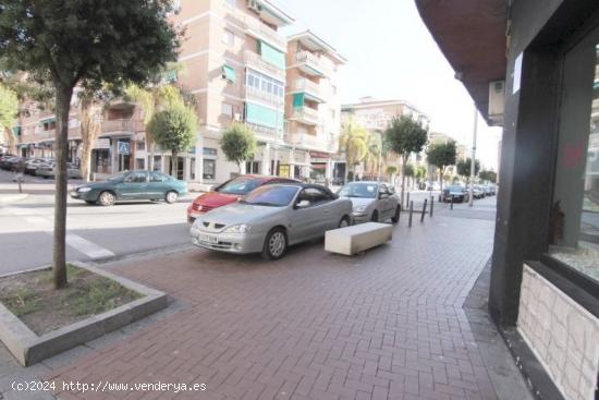 LOCAL COMERCIAL (CENTRO) - GRANADA