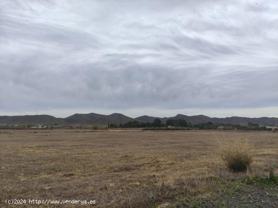 Parcela en Purias - MURCIA