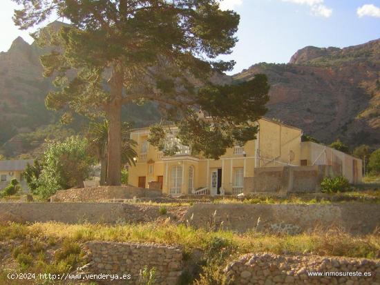 Finca de 12.441 m2 en Raiguero de Bonanza, pedanía de Orihuela (Alicante), a 2 Km. de Orihuela. - A