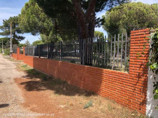 Suelo Urbano en La Negralada - VALLADOLID