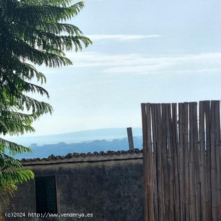  PLANTA BAJA EN SA CABANETA - BALEARES 