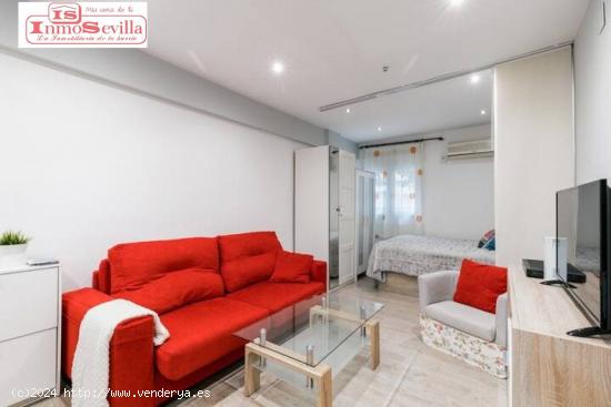 FANTASTICO LOFT EN TRIANA - SEVILLA