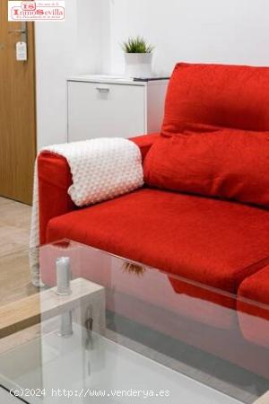 FANTASTICO LOFT EN TRIANA - SEVILLA