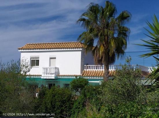 ESTUPENDA FINCA EN BONANZA - CADIZ