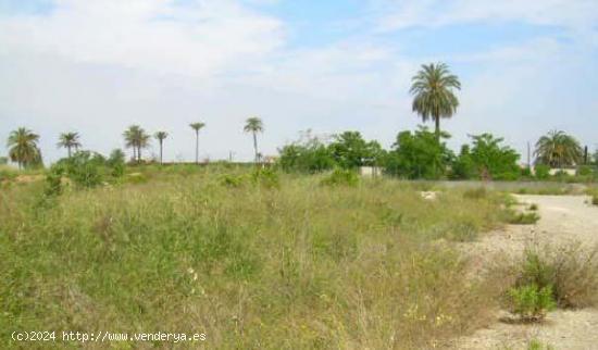 Se Vende en Carcaixent - VALENCIA