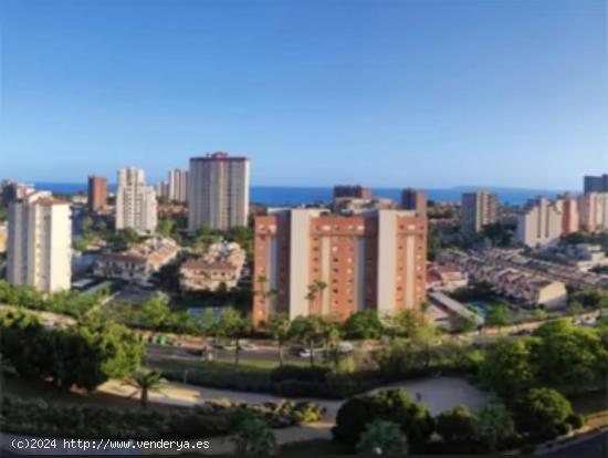 ALQUILER DE VIVIENDA CON MARAVILLOSAS VISTAS AL MAR  ZONA PLAYA DE SAN JUAN - ALICANTE