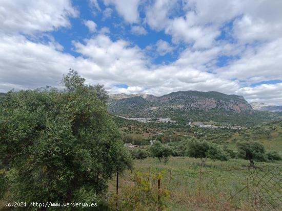 VENTA FINCA RÚSTICA. CERRO MULERA - CADIZ