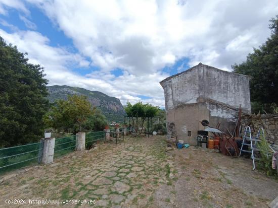 VENTA FINCA RÚSTICA. CERRO MULERA - CADIZ