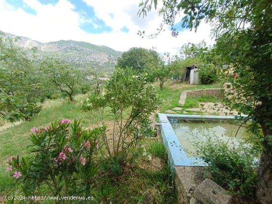 VENTA FINCA RÚSTICA. CERRO MULERA - CADIZ