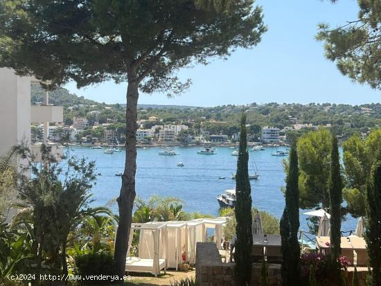  Estudio en excelente zona de Santa Ponsa con vistas al mar - BALEARES 