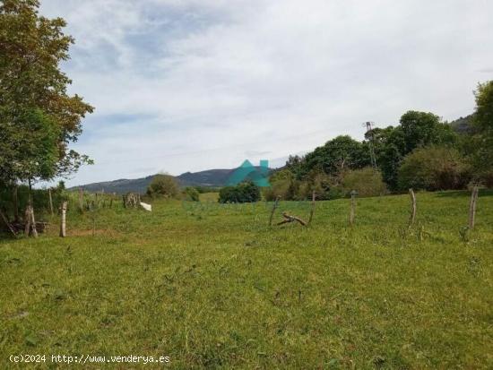 Se vende terreno - CANTABRIA