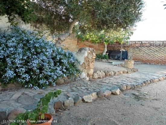 VIVIENDA DE PLANTA BAJA EN LA LOCALIDAD DE BURGUILLOS, SEVILLA. - SEVILLA